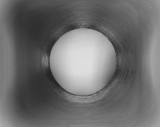 X0000101690042200807311420