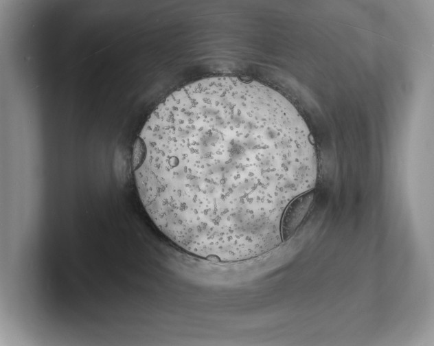 X0000101690043200807311420