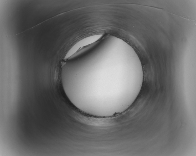 X0000101690044200807311420