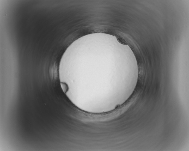 X0000101690046200807311420