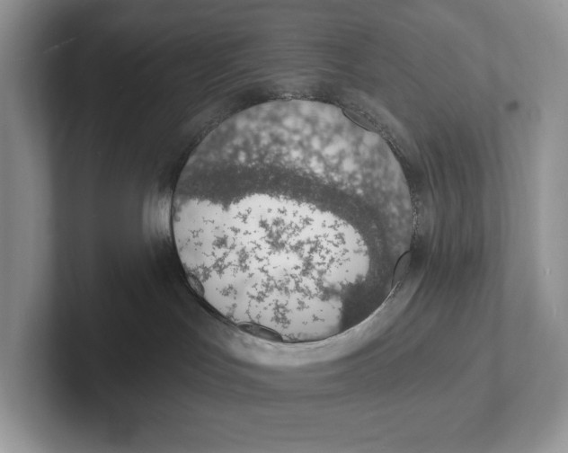 X0000101690047200807311420