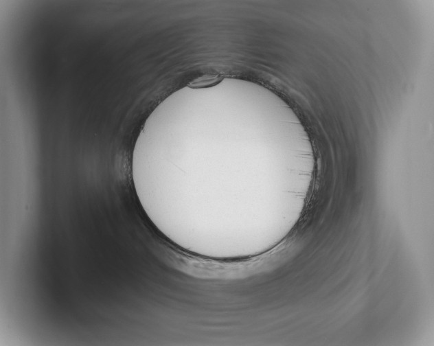 X0000101690048200807311420