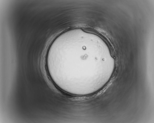 X0000101690049200807311420