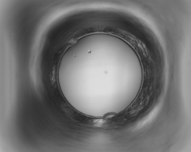 X0000101690050200807311420