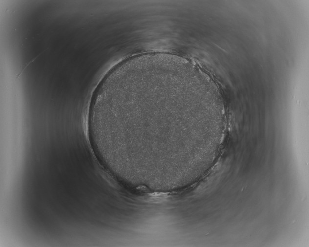 X0000101690052200807311420