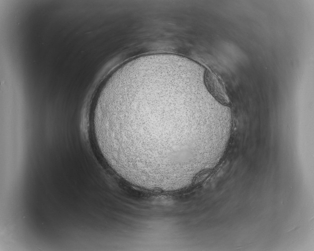 X0000101690053200807311420