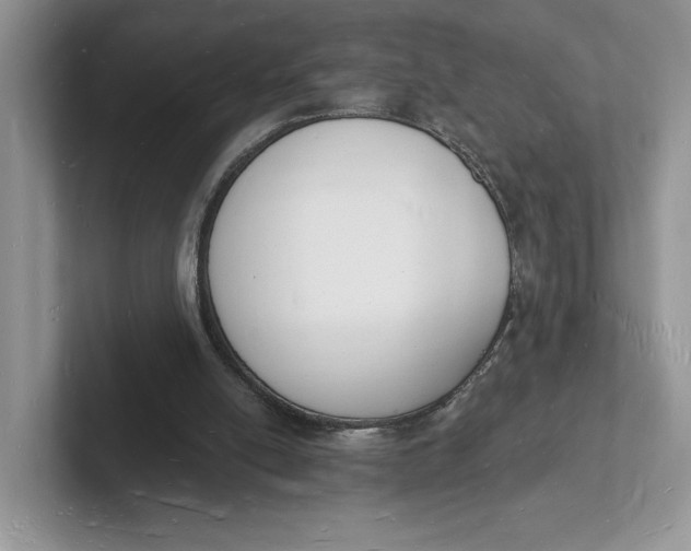 X0000101690054200807311420