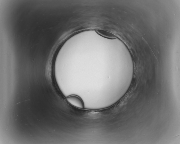 X0000101690055200807311420