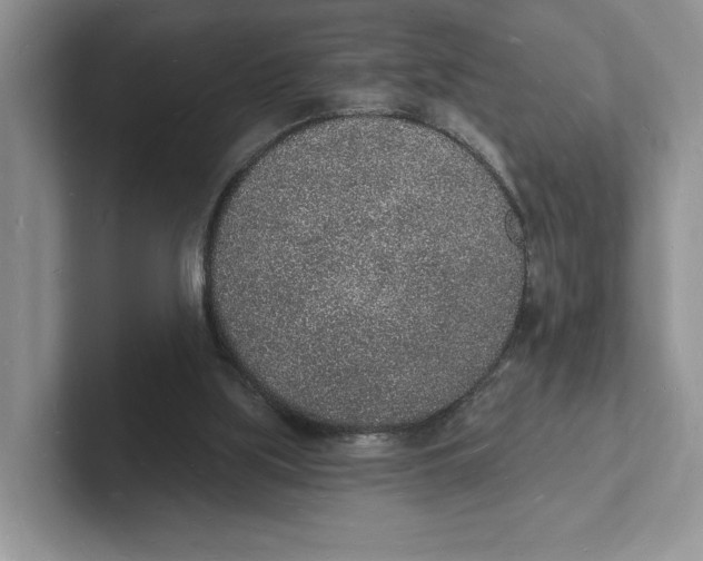 X0000101690059200807311420