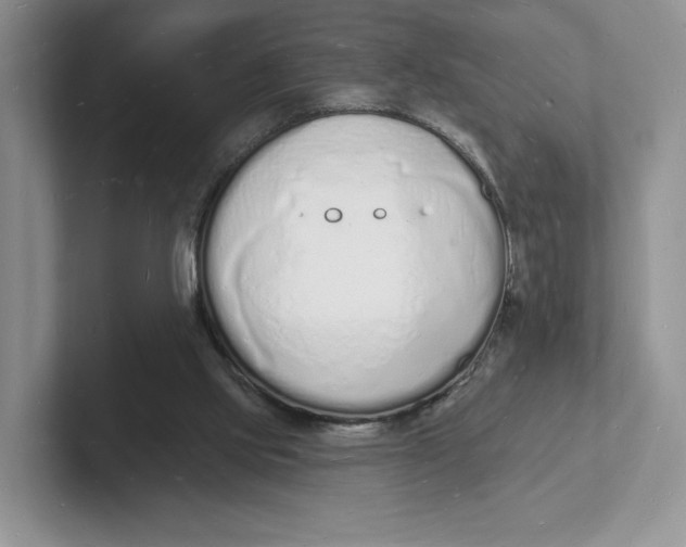 X0000101690061200807311420