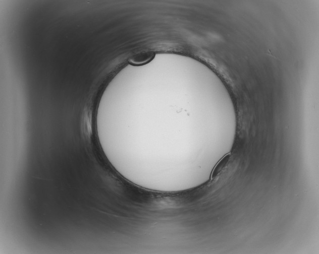 X0000101690062200807311420