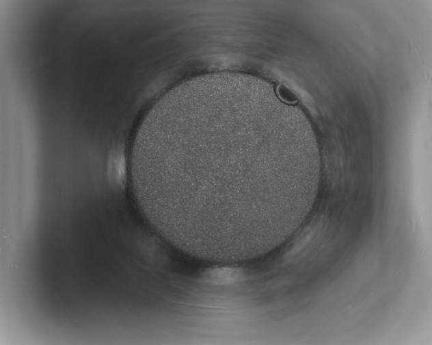 X0000101690067200807311420