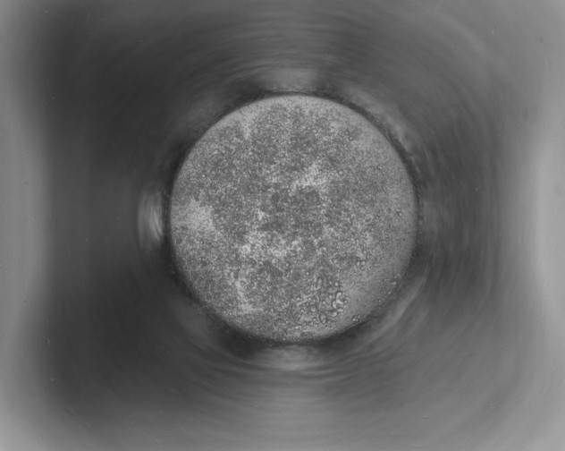 X0000101690069200807311420