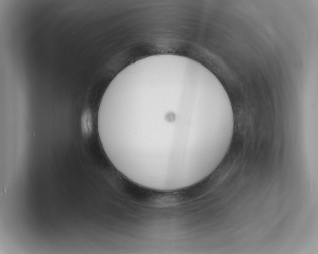 X0000101690075200807311420