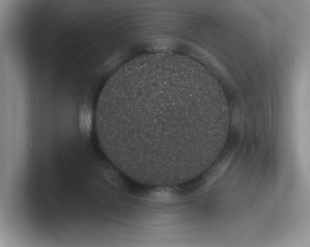 X0000101690076200807311420