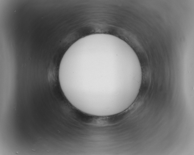 X0000101690078200807311420