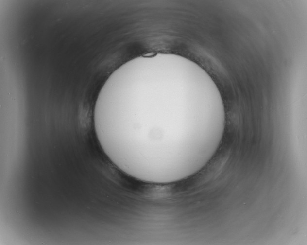 X0000101690081200807311420