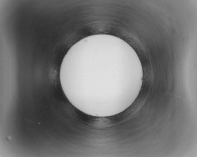 X0000101690087200807311420