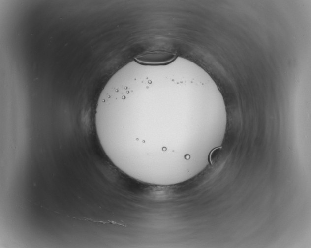 X0000101690088200807311420