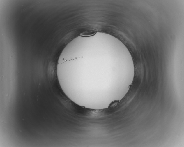 X0000101690092200807311420