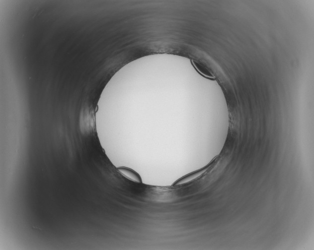 X0000101690095200807311420