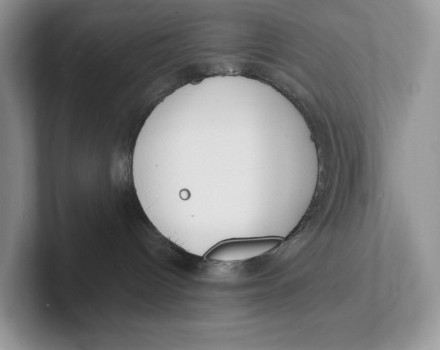 X0000101690096200807311420