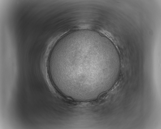 X0000101690097200807311420