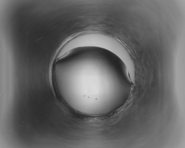 X0000101690100200807311420