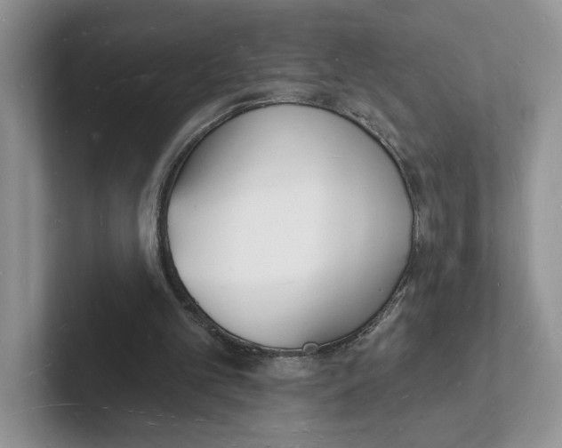 X0000101690101200807311420