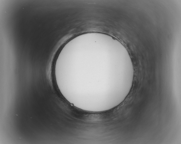 X0000101690104200807311420