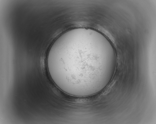 X0000101690105200807311420