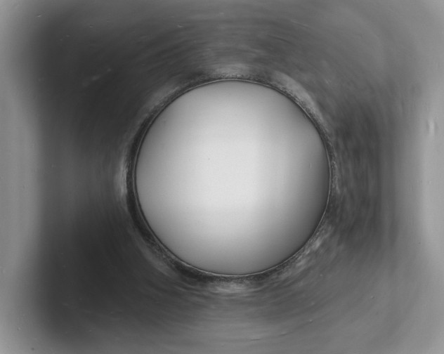 X0000101690106200807311420