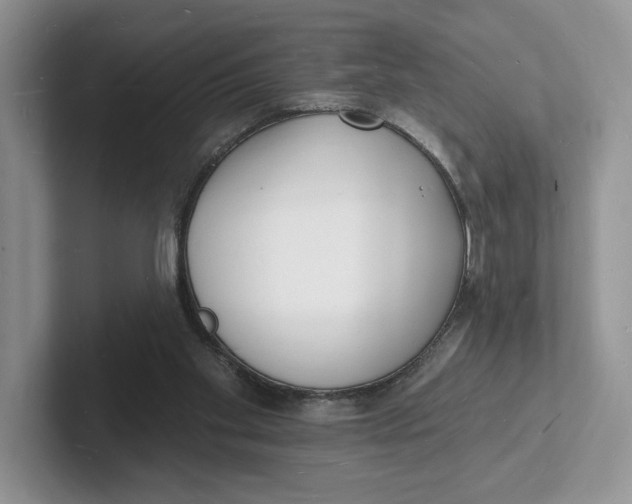 X0000101690109200807311420