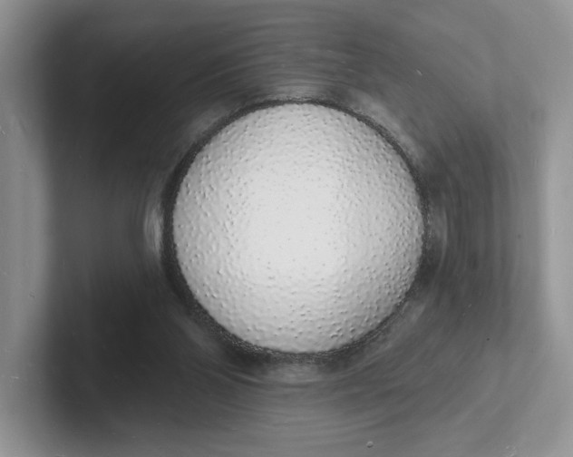 X0000101690110200807311420