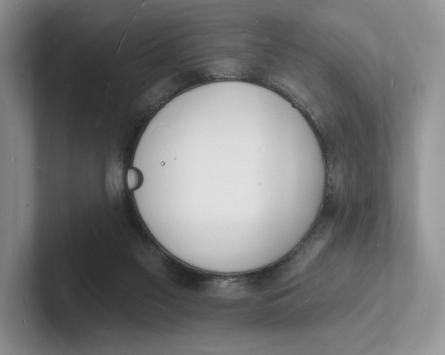 X0000101690117200807311420