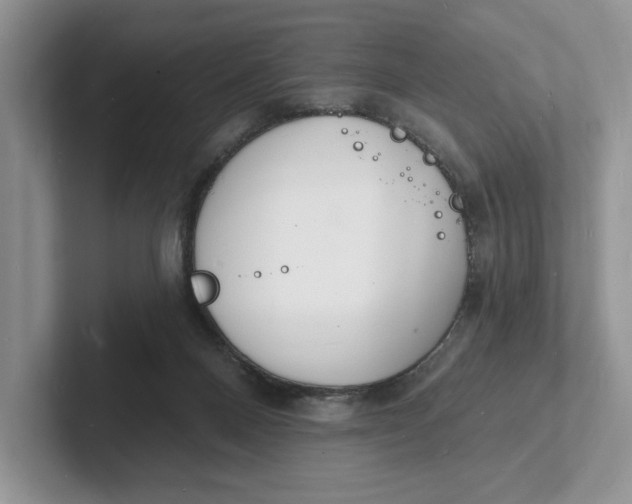 X0000101690120200807311419