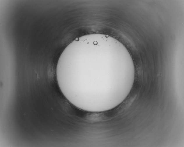 X0000101690129200807311419