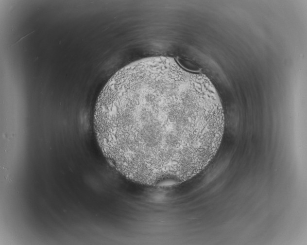 X0000101690131200807311419