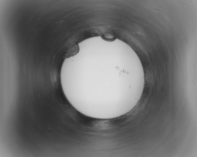 X0000101690132200807311419