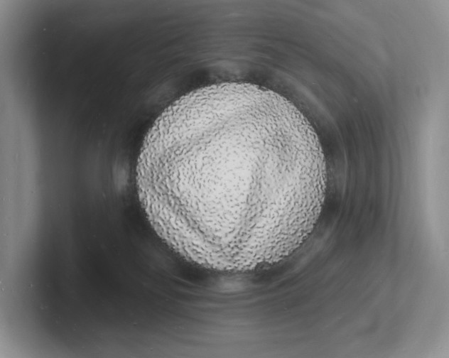 X0000101690134200807311419