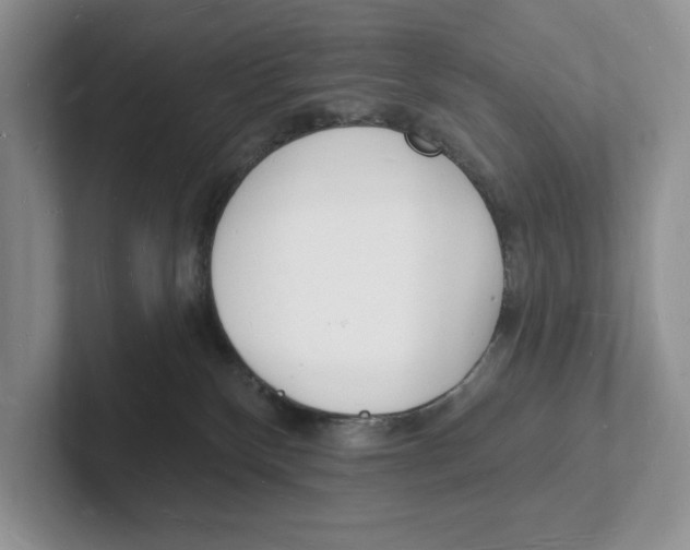 X0000101690136200807311419