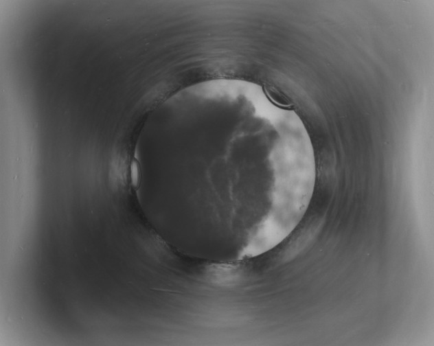 X0000101690139200807311419