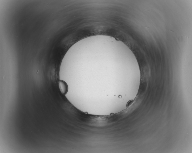 X0000101690140200807311419