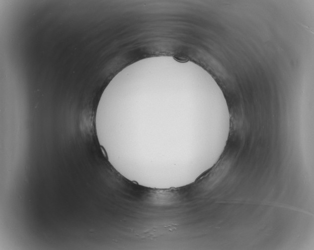 X0000101690141200807311419