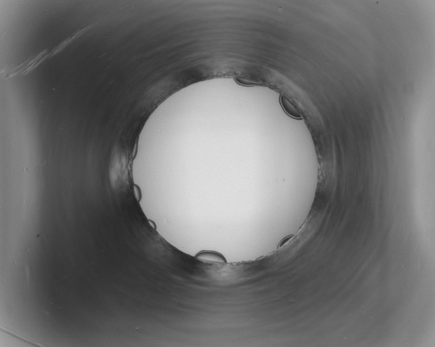 X0000101690142200807311419