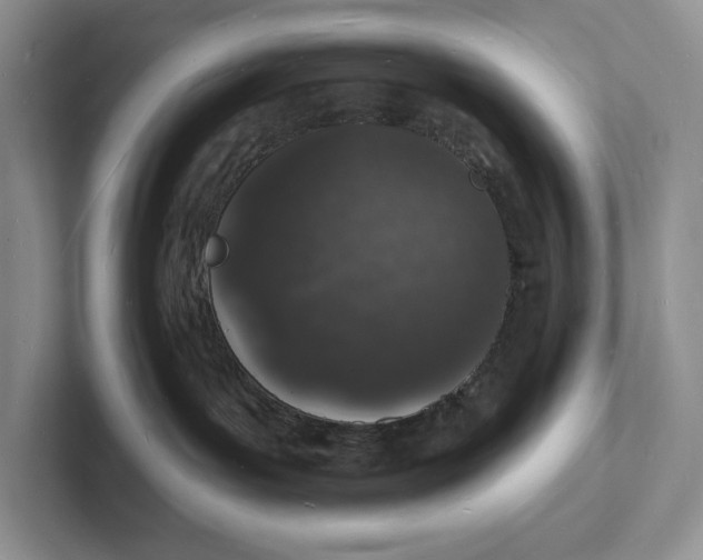 X0000101690143200807311419