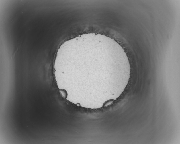 X0000101690144200807311419