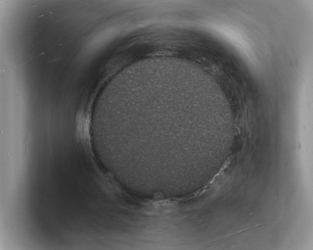 X0000101690146200807311419