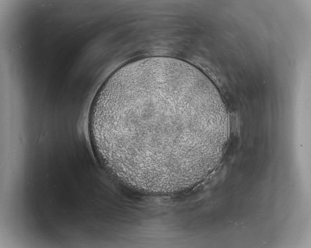 X0000101690147200807311419