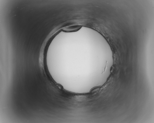 X0000101690150200807311419